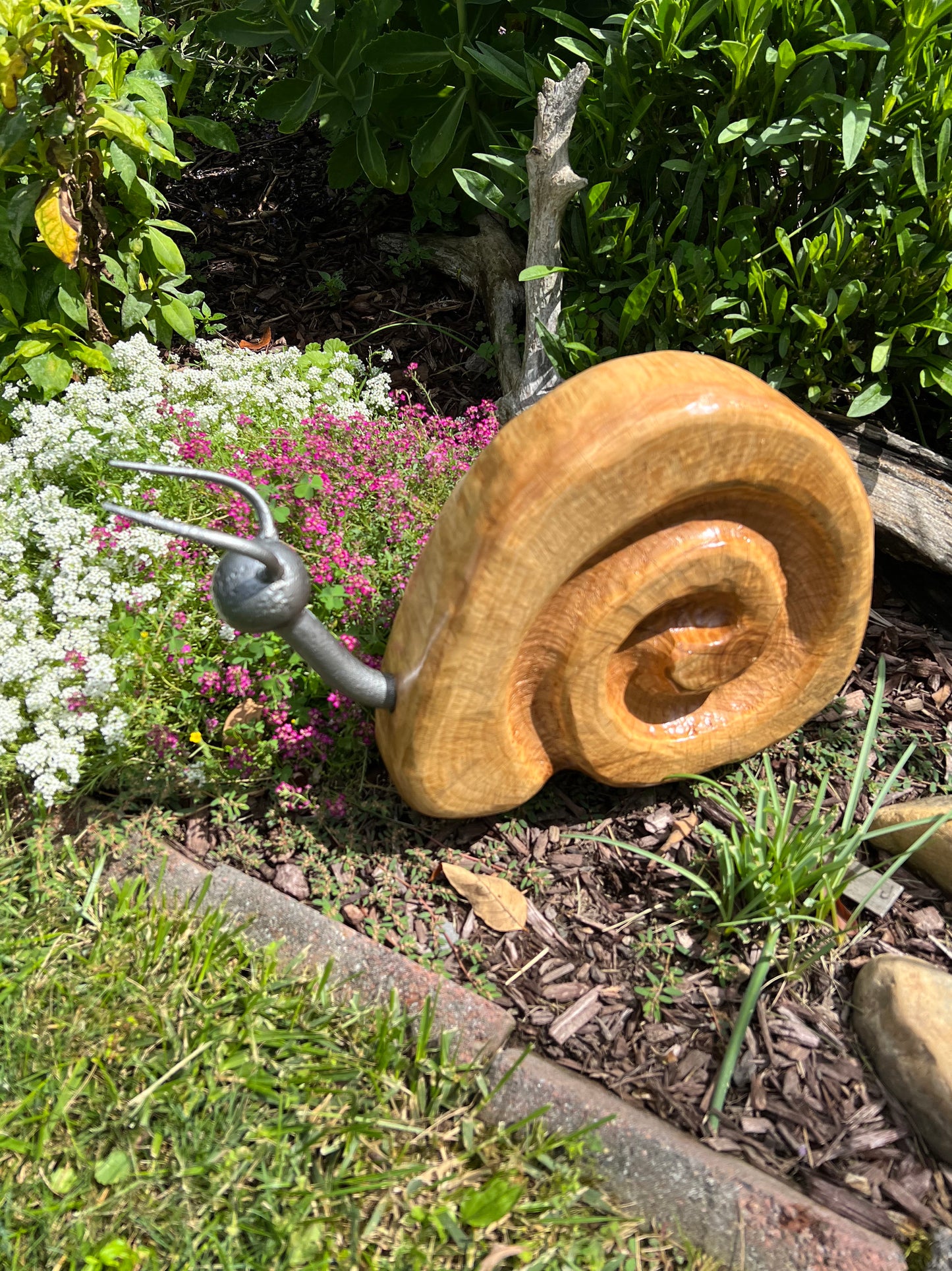 Garden Snail