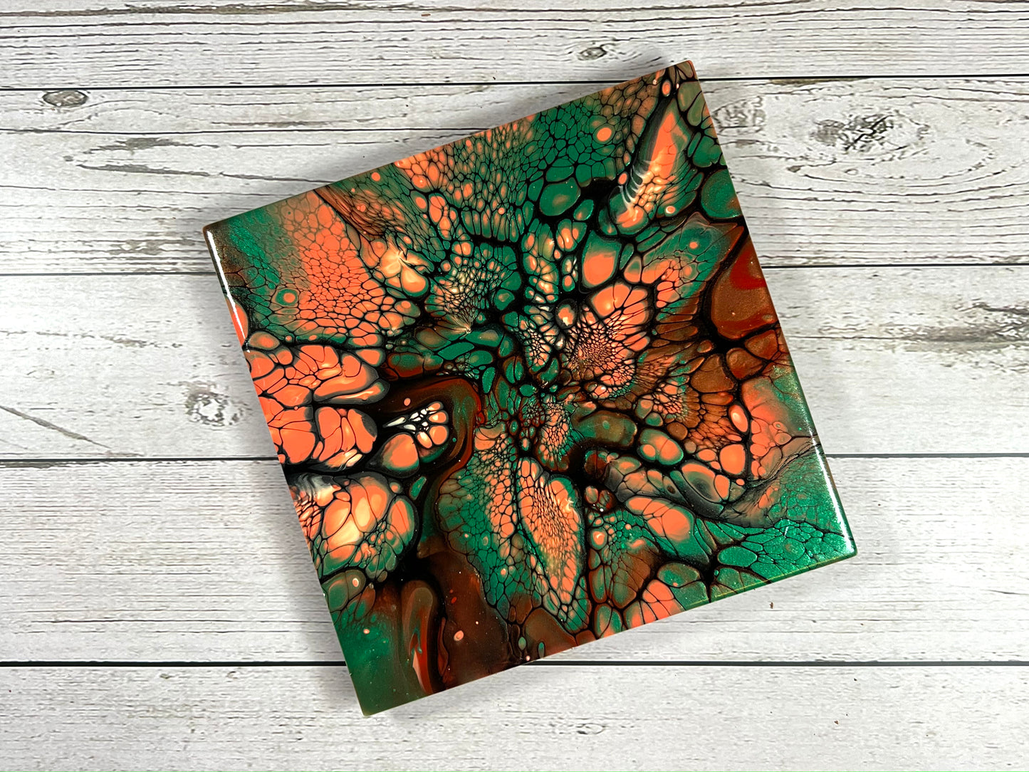 6" Square Display Trivet